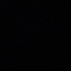 Meet your Posher, Tony